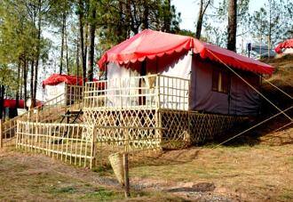 Sanawar Nature Camp, Solan 2